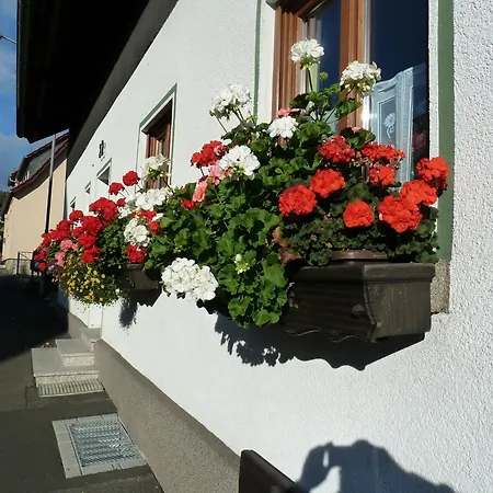 Apartament Lina's Rhoen Bad Brückenau