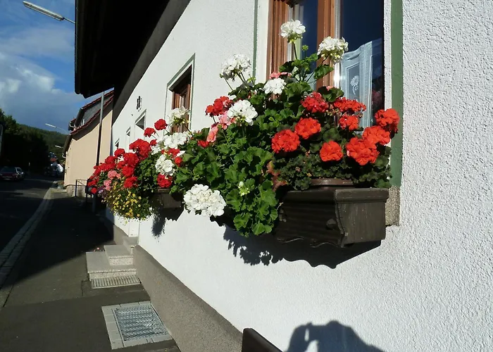 Appartement Lina's Rhoen Bad Brückenau